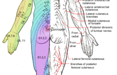 advanced spinal care sciatica symptoms and the best natural treatment Advanced Spinal Care Sciatica Symptoms And The Best Natural Treatment