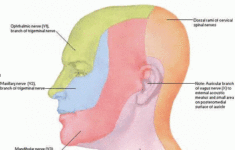 C For Chocolate 2011