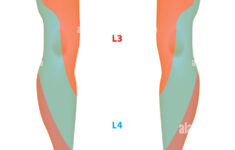 Dermatome Map Of The Lower Limb Stock Photo Alamy