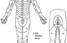evaluation and goals Evaluation And Goals