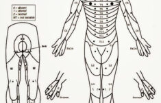Explaining InVivo 39 s Update NASDAQ NVIV Seeking Alpha