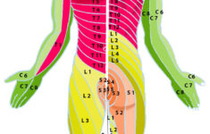 herniated disc in the neck and lower back symptoms treatment 2 Herniated Disc In The Neck And Lower Back Symptoms Treatment