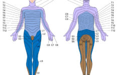 how to prevent and alleviate spinal degeneration yogauonline 7 How To Prevent And Alleviate Spinal Degeneration YogaUOnline