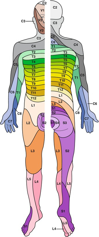 Injections Of The Cervical Thoracic And Lumbar Spine Neupsy Key Injections Of The Cervical Thoracic And Lumbar Spine Neupsy Key
