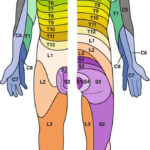 Injections Of The Cervical Thoracic And Lumbar Spine Neupsy Key