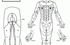 low back pain clinical exam pearls dailyem Low Back Pain Clinical Exam Pearls DAILYEM