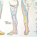 Pain On The Top Of The Foot And Ankle By Dr Steven J Dolgoff