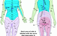 Pin On DISABILITY MEDICAL
