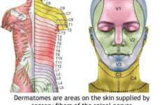 pin on inspirations Pin On Inspirations