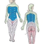 Science Of Massage Institute MEDICAL MASSAGE IN CASES OF PNEUMONIA